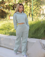 Solid Plush Hoodie Top And Pants Casual 2 Piece Suits FSL-F173