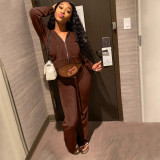 Solid Velvet Hooded Long Sleeve Zipper 2 Piece Pants Set FSL-F172