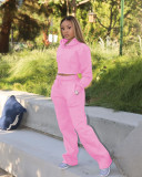 Solid Plush Hoodie Top And Pants Casual 2 Piece Suits FSL-F173