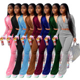 Solid Velvet Hooded Zipper Long Sleeve Flared Pants 2 Piece Sets NIK-264