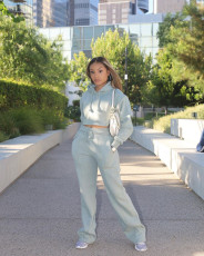 Solid Plush Hoodie Top And Pants Casual 2 Piece Suits FSL-F173