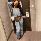 Solid Velvet Hooded Long Sleeve Zipper 2 Piece Pants Set FSL-F172