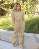 Solid Plush Hoodie Top And Pants Casual 2 Piece Suits FSL-F173
