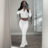 Solid Velvet Long Sleeve Zipper 2 Piece Pants Set FSL-F171