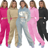Solid Plush Hoodie Top And Pants Casual 2 Piece Suits FSL-F173