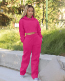 Solid Plush Hoodie Top And Pants Casual 2 Piece Suits FSL-F173