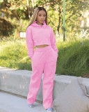 Solid Plush Hoodie Top And Pants Casual 2 Piece Suits FSL-F173