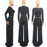 Plus Size Casual Solid Long Sleeve Two Piece Pants Set FOSF-8092