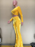 Solid Velvet Long Sleeve Flared Pants 2 Piece Sets ORY-5206