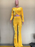 Solid Velvet Long Sleeve Flared Pants 2 Piece Sets ORY-5206