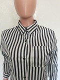Casual Striped Long Sleeve Blouse Top And Shorts 2 Piece Sets BGN-203