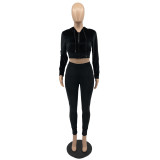 Solid Velvet Hooded Zipper Long Sleeve 2 Piece Pants Set IV-8244