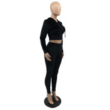 Solid Velvet Hooded Zipper Long Sleeve 2 Piece Pants Set IV-8244