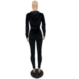 Solid Velvet Hooded Zipper Long Sleeve 2 Piece Pants Set IV-8244