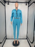 Casual Sports Solid Zipper Hoodie 2 Piece Suits GLF-10028