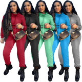 Solid Hooded Pile Collar Long Sleeve 2 Piece Pants Set FSL-F126