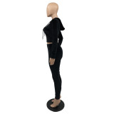 Solid Velvet Hooded Zipper Long Sleeve 2 Piece Pants Set IV-8244