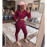 Solid Velvet Hooded Zipper Two Piece Pants Set IV-8250