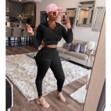 Solid Velvet Hooded Zipper Two Piece Pants Set IV-8250