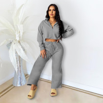 Solid Long Sleeve Zipper Loose Two Piece Pants Set DDF-88128
