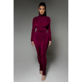 Solid Velvet Long Sleeve Slim Two Piece Pants Set DDF-88131