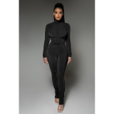 Solid Velvet Long Sleeve Slim Two Piece Pants Set DDF-88131