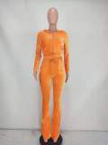 Solid Velvet Hooded Long Sleeve Flare Pants 2 Piece Sets YD-8527