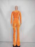 Solid Velvet Hooded Long Sleeve Flare Pants 2 Piece Sets YD-8527