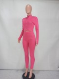 Casual Solid Long Sleeve Zipper Two Piece Pants Set YD-8528