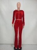 Solid Velvet Hooded Long Sleeve Flare Pants 2 Piece Sets YD-8527