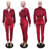Solid Velvet Long Sleeve Zipper Two Piece Pants Set WY-6844