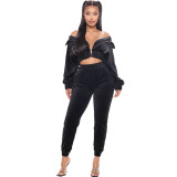 Solid Velvet Long Sleeve Zipper Two Piece Pants Set WY-6844
