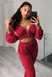 Solid Velvet Long Sleeve Zipper Two Piece Pants Set WY-6844