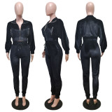 Solid Velvet Long Sleeve Zipper Two Piece Pants Set WY-6844