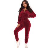 Solid Velvet Long Sleeve Zipper Two Piece Pants Set WY-6844