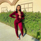 Plus Size Velvet Hooded Long Sleeve Zipper 2 Piece Sets HNIF-059