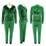 Plus Size Velvet Hooded Long Sleeve Zipper 2 Piece Sets HNIF-059
