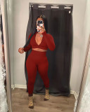 Sexy Solid Zipper Long Sleeve Slim 2 Piece Sets NYF-8089