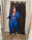 Sexy Solid Zipper Long Sleeve Slim 2 Piece Sets NYF-8089
