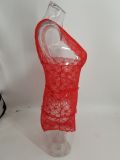 Sexy Lace Deep V One-piece Lingerie YQ-S131