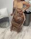 Leopard Print Tassel Maxi Skirt HMS-5516