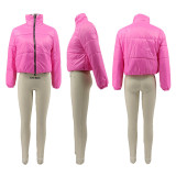 Winter Warm Solid Full Sleeve Zipper Down Jacket SFY-2141