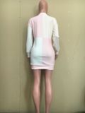 Casual Long Sleeve O Neck Mini Dress ORY-5212