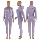 Solid Plush Hooded Zipper Coat And Pants 2 Piece Sets CH-8198