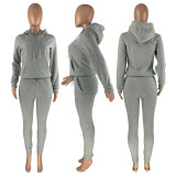 Solid Plush Hoodie Top And Pants 2 Piece Suits CH-8197