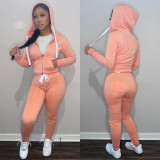 Solid Sports Hooded Zipper Thick 2 Piece Pants Set FSL-F179