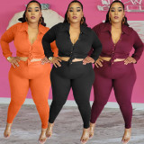 Plus Size Solid Shirt Top And Pants Two Piece Sets BGN-210