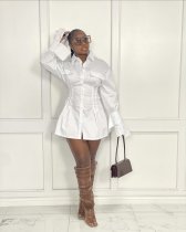 Solid Long Sleeve Turndown Collar Shirt Dress WY-6861