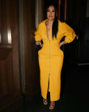 Solid Zipper Long Sleeve Maxi Dress OMY-80067