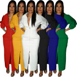 Solid Zipper Long Sleeve Maxi Dress OMY-80067